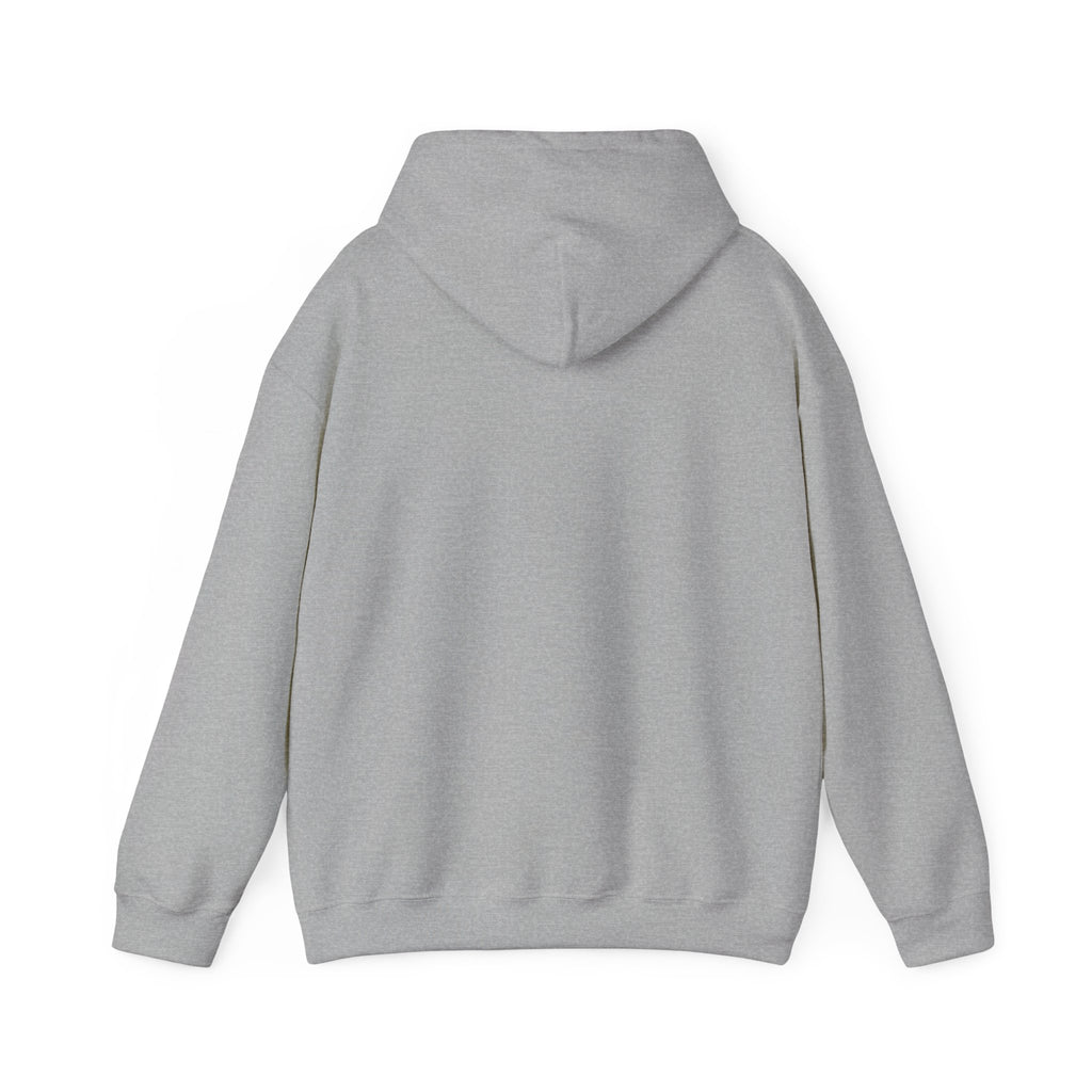 Desert Road Trip Hoodie — Retro Sunset Scenic Graphic Hooded Sweatshirt
