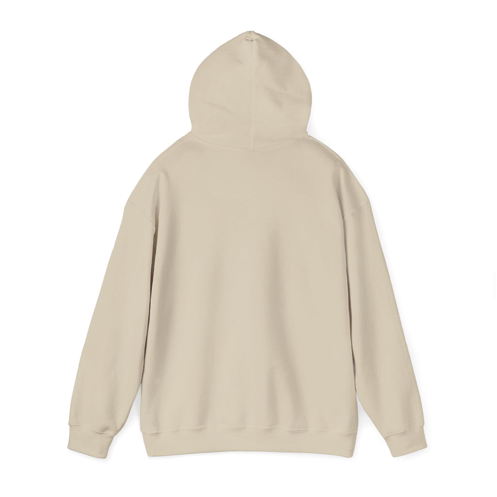 Desert Road Trip Hoodie — Retro Sunset Scenic Graphic Hooded Sweatshirt