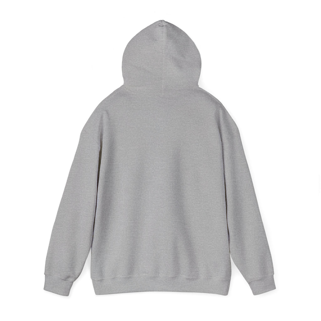 Desert Road Trip Hoodie — Retro Sunset Scenic Graphic Hooded Sweatshirt