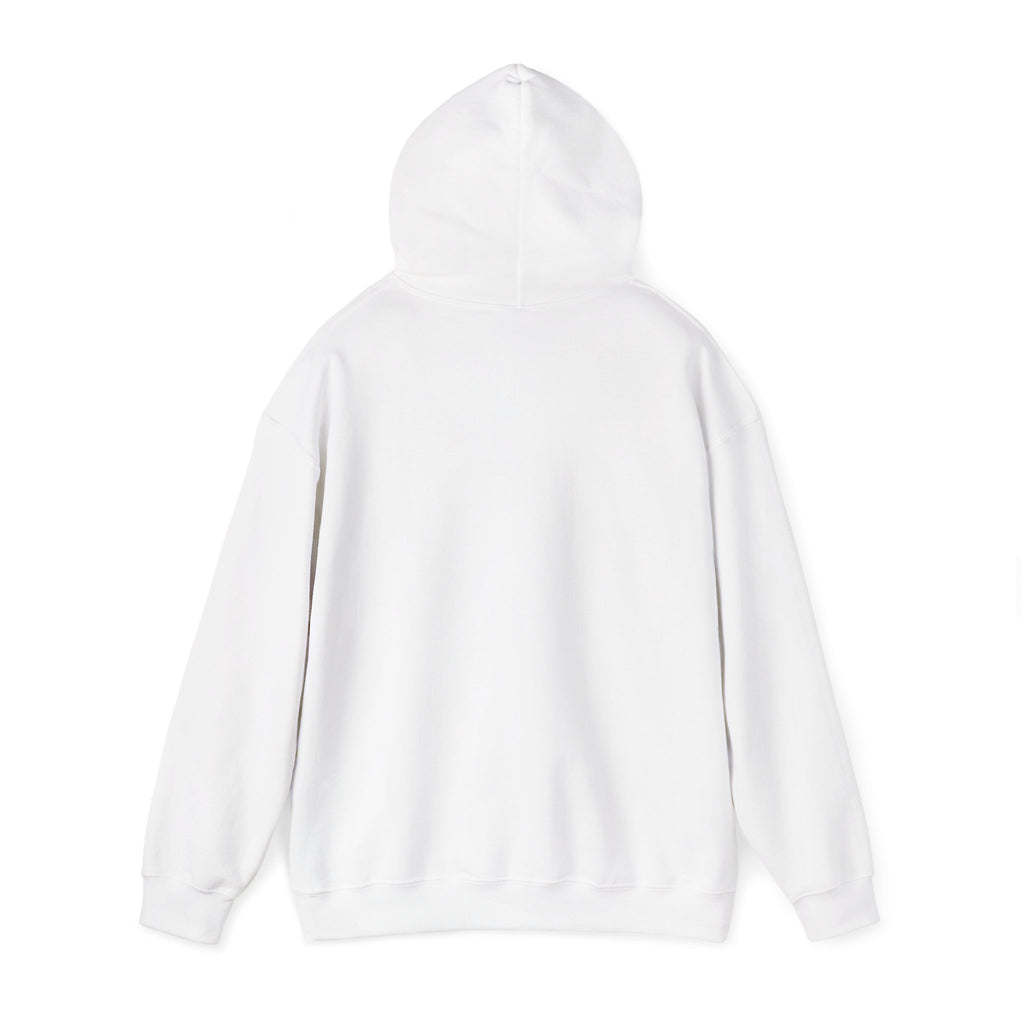 Desert Road Trip Hoodie — Retro Sunset Scenic Graphic Hooded Sweatshirt